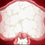 Thumbnail of post image 098