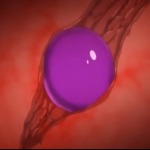 Thumbnail of post image 013