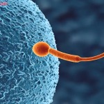 Thumbnail of post image 146