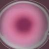 Thumbnail of related posts 196