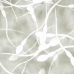 Thumbnail of post image 029